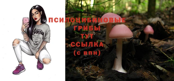 гашик Аркадак