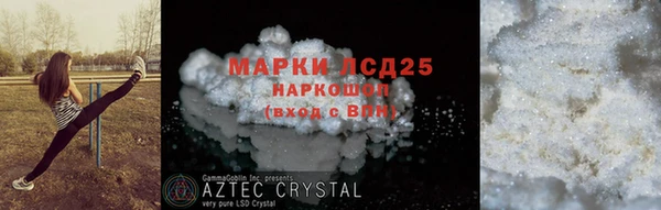 гашик Аркадак
