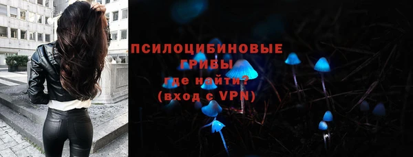 гашик Аркадак
