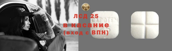 гашик Аркадак
