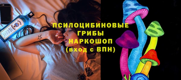 прущий лед Армянск