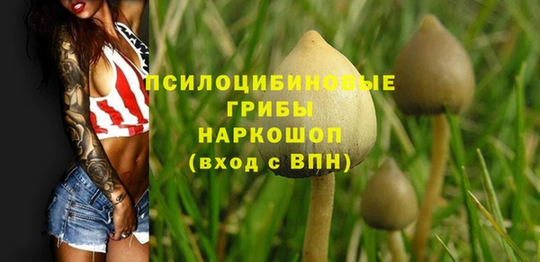 прущая мука Арсеньев