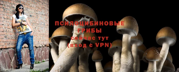 прущая мука Арсеньев