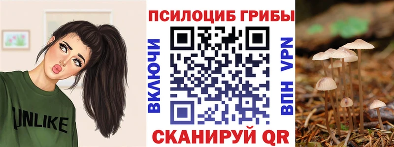 Псилоцибиновые грибы Cubensis  Мосальск 