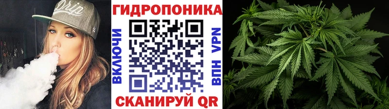 Бошки Шишки марихуана  blacksprut   Мосальск 